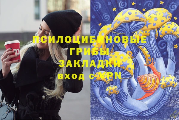 марки nbome Тавда