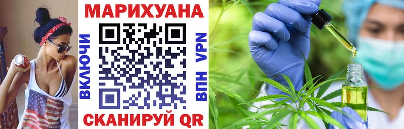 Купить закладки  Севск  Бошки марихуана THC 21% 